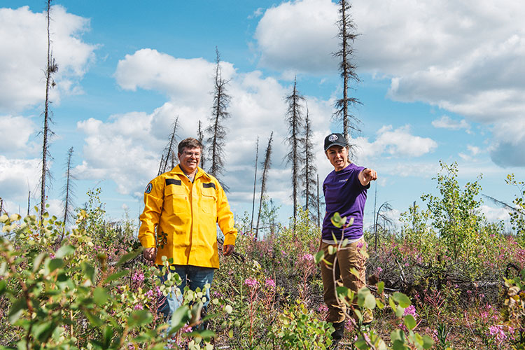 Jennifer Baltzer in NWT