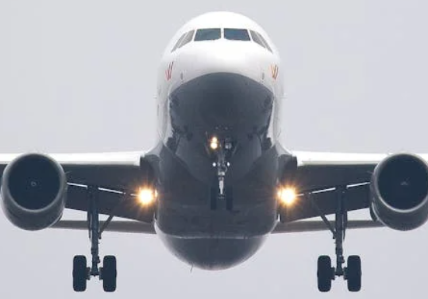 Dr. Danita Burke is the recipient of the Joan Mitchell Travel Award