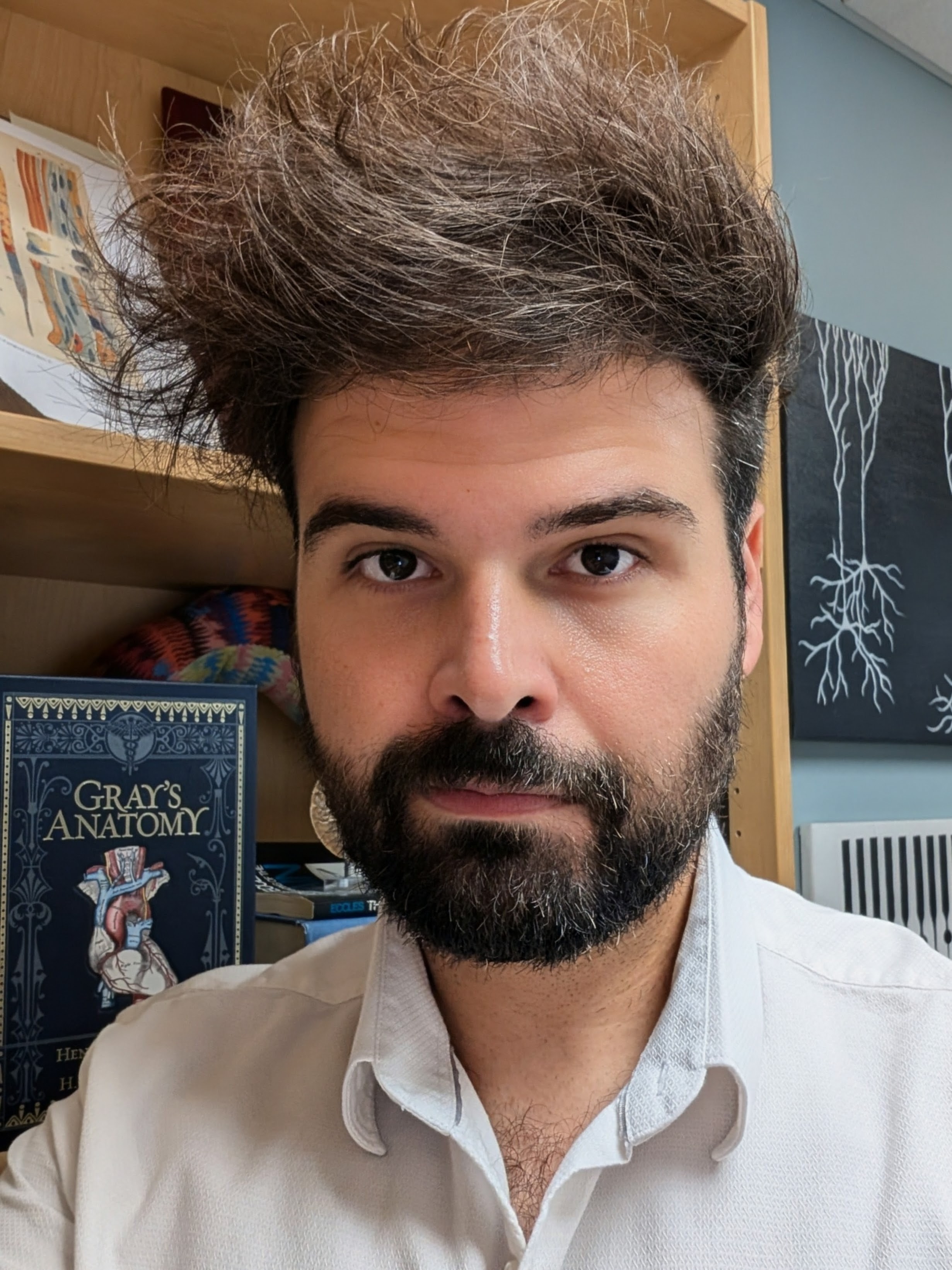 Photo of Nicolas Rouleau