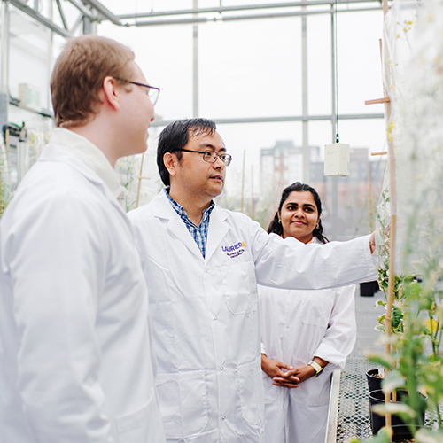 students in greenhouse
