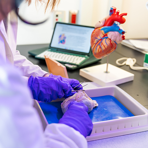 student works in lab