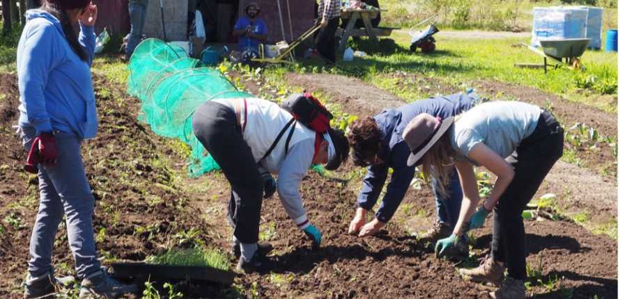 Workshop participants planting seeds