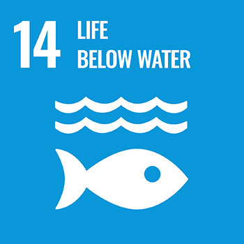 SDG goal 14: Life Below Water