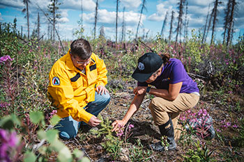 Laurier NWT Partnership 2