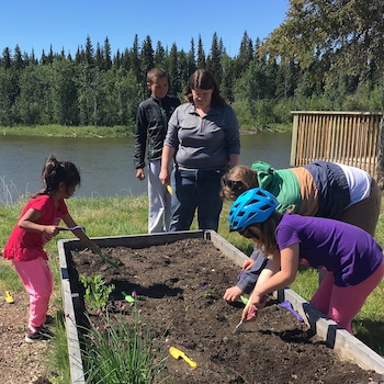 Partnering with Indigenous communities to meet Northern food security challenges.