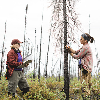 Stories of inspired research in Laurier's 2022-23 annual research review.