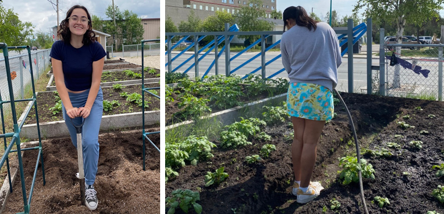 Young women gardening in Yellowknife