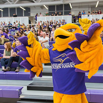 Golden Hawk mascot at Laurier Brantford Homecoming