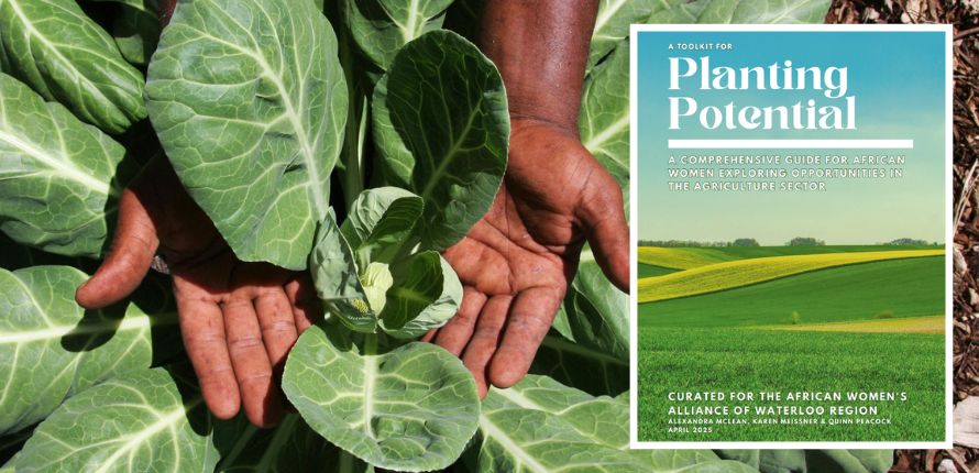 Hands surrounding a growing cabbage. A report cover is inset.