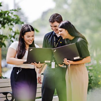 Three students standing in greenery looking at laptops.