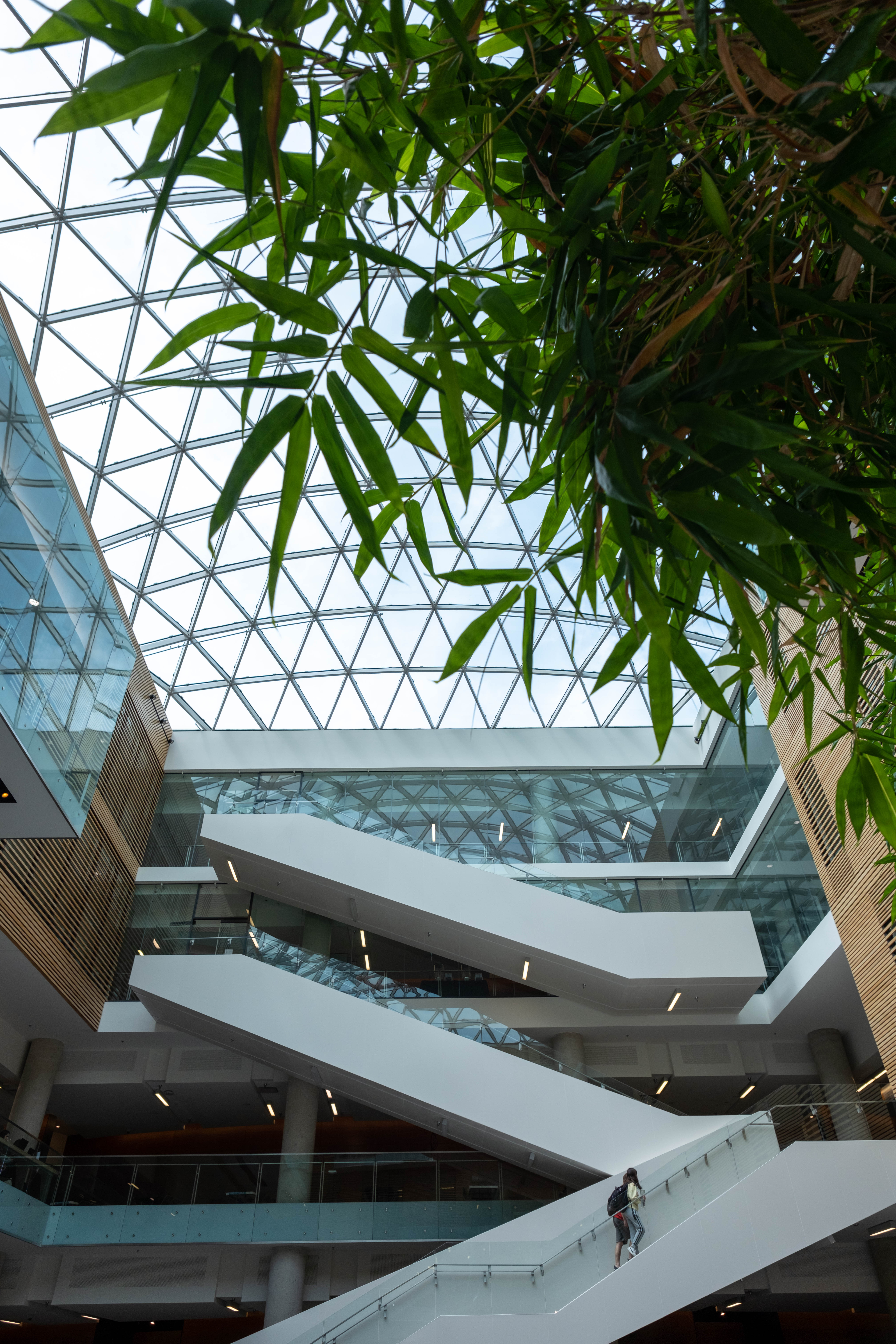 Lazaridis Hall stairs